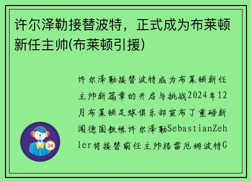 许尔泽勒接替波特，正式成为布莱顿新任主帅(布莱顿引援)