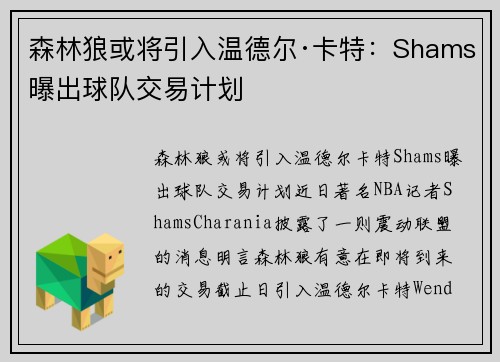 森林狼或将引入温德尔·卡特：Shams曝出球队交易计划