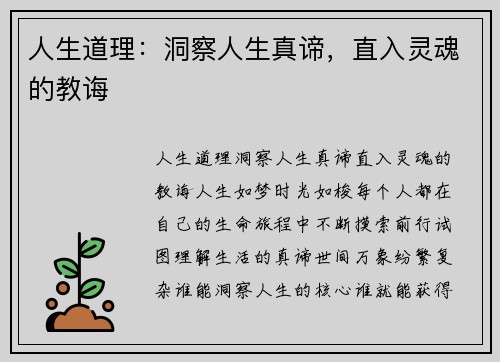 人生道理：洞察人生真谛，直入灵魂的教诲