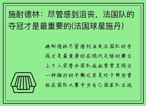 施耐德林：尽管感到沮丧，法国队的夺冠才是最重要的(法国球星施丹)