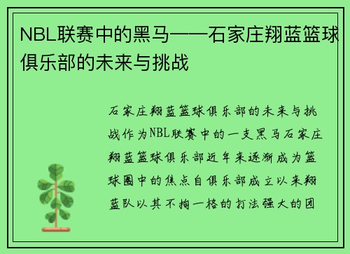 NBL联赛中的黑马——石家庄翔蓝篮球俱乐部的未来与挑战